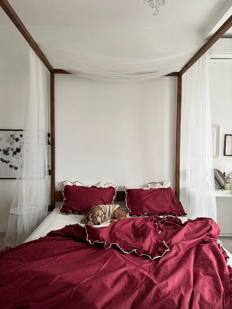 Постільна білизна Бордовий ранфорс з рюшами та молочним кантом