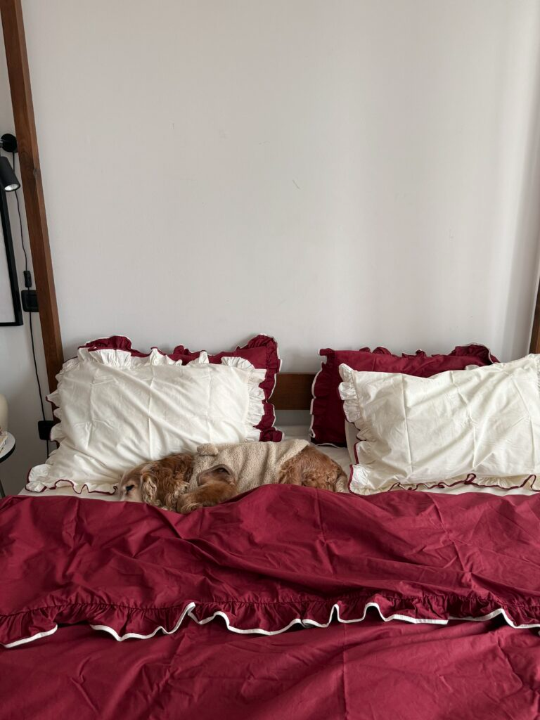 Постільна білизна Бордовий ранфорс з рюшами та молочним кантом