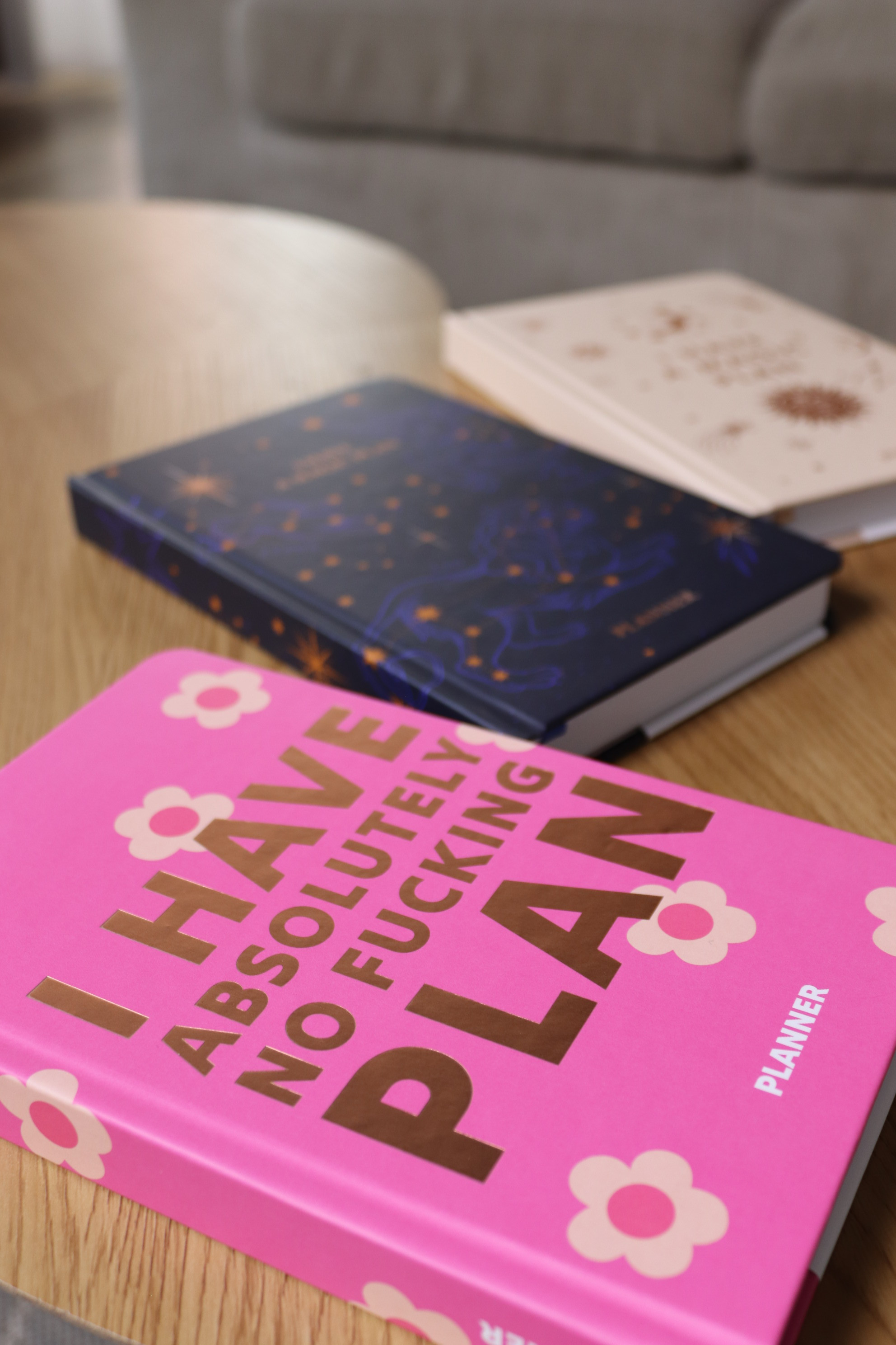 Блокнот для планування "I HAVE ABSOLUTELY NO PLAN mini" рожевий