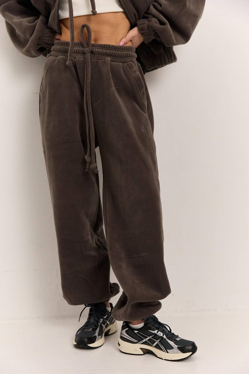 Джогери з поларфлісу сірі