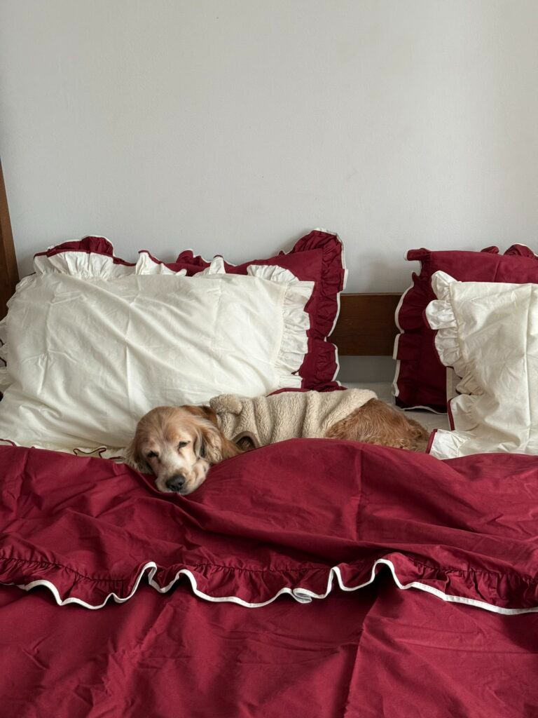 Постільна білизна Бордовий ранфорс з рюшами та молочним кантом