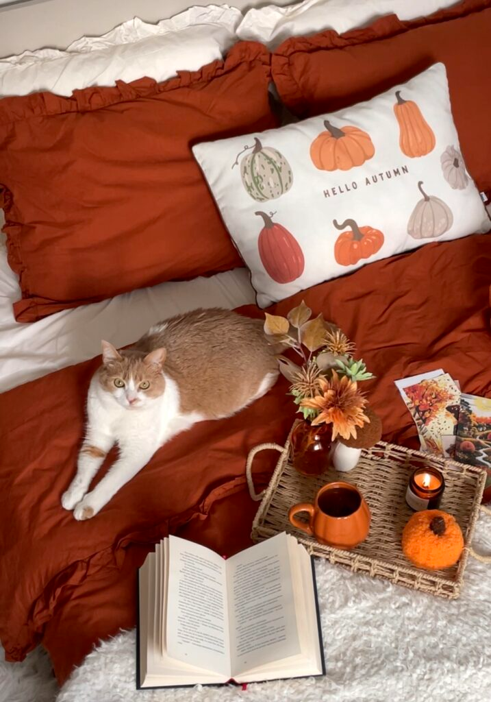 Постільна білизна з рюшами – теракотова з молочним