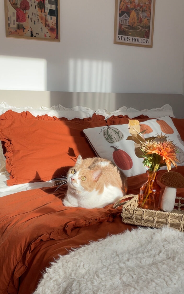 Постільна білизна з рюшами – теракотова з молочним