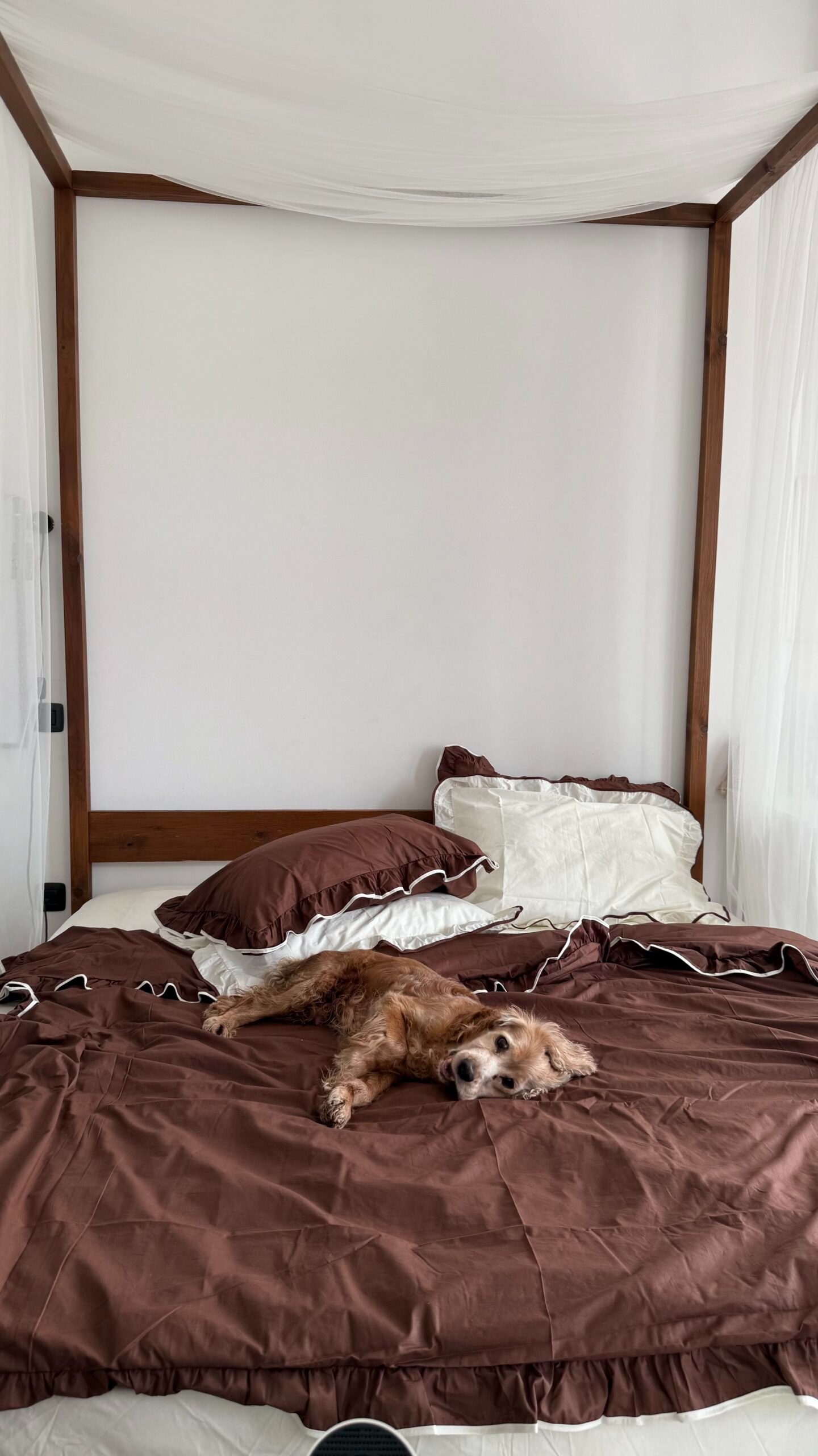 Постільна білизна шоколадна з рюшами та молочним кантом